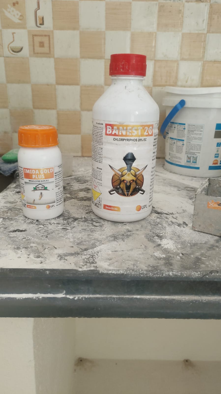 Pest Control Service